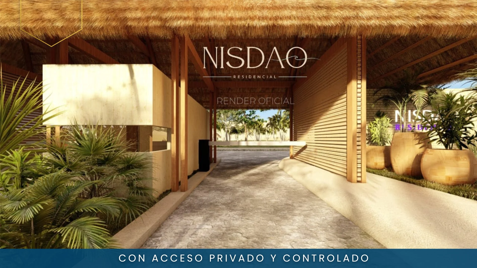 NISDAO